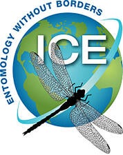 ICE logo Entomology Without Borders